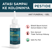 Pembasmi Koloni Semut Ampuh