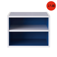 TZUMii 艾莉絲二格櫃/二層櫃/空櫃/收納櫃-藍色2入組 40*29*30 cm