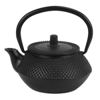 Cast Iron Pot With Stainless Steel Infuser Cast Japanese Iron Teapot Oolong Tea Puer Tea Tea Kettle 300ML