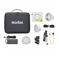 【Godox 神牛】ML100 BI K1套組-含行動電源支架＋迷你腳架套組(正成公司貨)