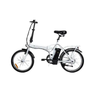 200W CE Cheap Electric Bikes 20inch Drop Shipping Folding Electric Bicycle 7 Speed Mini Adult Electric Bike