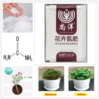 60g Nitrogen Fertilizer Compound fertilizer General Purpose Safe And Pollution Free Use Flower Home Garden