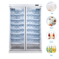 Vertical Freezer Upright Display Cooler Refrigeration Equipment Double Glass Door Fridge