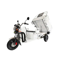 EEC COC Electric Tricycles Road Legal Tricycles 3 Wheel Electric Cargo Bike for Cargo