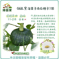 【綠藝家】G68.黑海栗子南瓜種子1顆