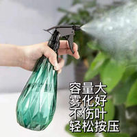 噴壺澆花家用氣壓式高壓噴水壺灑水壺澆水養花園藝消毒專用噴霧器