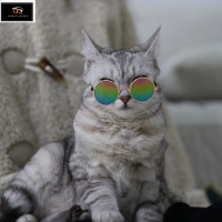 แว่นตากันแดด สําหรับสัตว์เลี้ยง สุนัข แมว N.M110 #SUN GLASSES