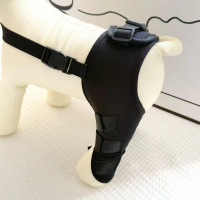 Pet clothing, dog protective gear, front leg injury support belt, dog leg braces, double leg rehabil