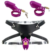 Purple CB6000S CB6000 Plastic Male Strap On Chastity Cage with Lock Penis Sleeve Ring Chastity Devices Sex Toys for Men G7-3-12