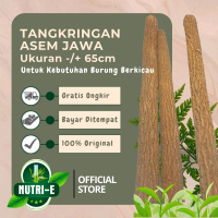 Tangkringan Asem Jawa/Tangkringan Burung