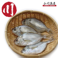 【小川漁屋】極鮮野生肉魚12包（600g±10%/包/4-6尾）