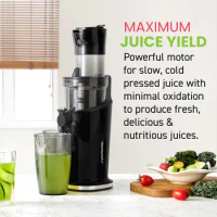 Dynamic Masticating Slow Juicer, High Yield Cold Press Juice Extractor, Easy to Clean, 27 oz Juice Cup, Black