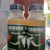 Minyak tanduk kambing domba mempercepat pertumbuhan tanduk domba ampuh