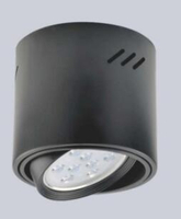 【燈王的店】 節能省電 LED AR111 12W 吸頂燈 筒燈 TYL343B+LED-AR111-12W