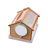 Insect Observation Box Kids Outdoor Exploration Collection Capture Butterfly Dragonfly Feeding Cage Science Tools