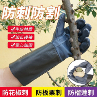 ❀❀牛皮防護防刺手套園林園藝修剪玫瑰月季摘花椒刺剝板栗子防滑防扎 戶外手套 手套 砍樹手套 防護手套