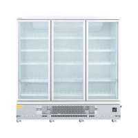 upright commercial refrigerator 2 doors commercial beverage cooler freezer for sale