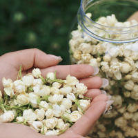 2026 New Style Dried Jasmine Flower 2026 New Flower Sulfur-Free Fragrance Jasmine Tea Bulk Freeze-Dr