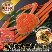 (滿額)【海陸管家】日本品牌加拿大熟凍松葉蟹(整隻)1隻(每隻350-500g)
