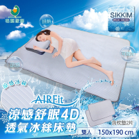 【格藍傢飾】涼感舒眠4D透氣5mm冰絲床墊 (含枕墊X2)-雙人