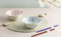 進口美濃燒宇野千代雪花釉下彩櫻花餐具對碗對筷套裝禮物