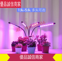 爆款限時熱賣-LED植物生長燈多頭夾子植物燈花卉定時調光燈全光譜多肉補光燈