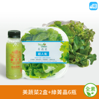【NICE GREEn 美蔬菜】美蔬菜2盒+綠菁晶6瓶送2包沙拉醬(萵苣 生菜 沙拉 蔬菜 綜合蔬果汁)