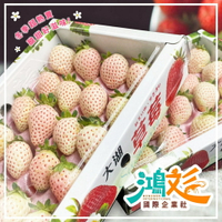 大湖白草莓奶油草莓新鮮現採