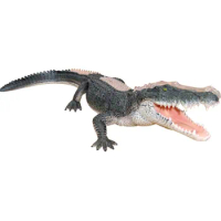 4D Vision Crocodile Anatomy Model Realistic Crocodile Figurine Wild Life Animal Model Educational For Kid Toy