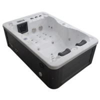 Perfect couple 2 people factory price hot tub outdoor water treatment pool spa mini tub with heater