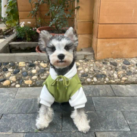Small and Medium-sized Dog and Cat Sweater Coat, Schnauzer, Teddy, Pomeranian, Bear, Spring, Autumn and Winter Clothes