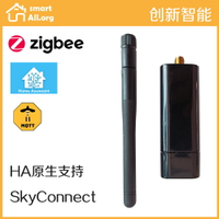 {台灣公司貨 可打統編}Home Assistant SkyConnect Zha硬件支持 Matter Therad在線更新