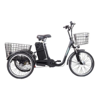 electric bicycle 3 wheel adult cheap best quality 3 wheel electric bicycle LED light electric tricycles for elderly