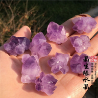 天然紫水晶原石紫水晶簇牙骨干紫水晶 礦石標本原石教學標本