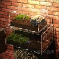 爬蟲飼養盒寵物箱透明亞克力蜘蛛守宮角蛙甲蟲烏龜造景爬寵飼養盒