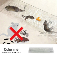 黏鼠魔毯 捕鼠魔毯 黏鼠膠 老鼠板 捕鼠器 捕蟲板 黏鼠板 強力黏鼠板 隱形 滅鼠魔毯【G081】Color me