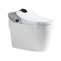North America Style Bathroom Electronic WC Bidet Automatic Flushing Intelligent Smart Toilet Bowl