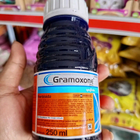 Obat Gramoxone 250 ml untuk Pengendalian Hama