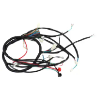 Full Wiring Harness Loom DC Ignition Coil For 150cc 200cc 250cc 300cc Longding ATV Quad Buggy Electric Start Engine