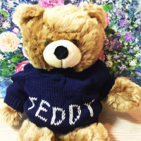 【TEDDY HOUSE泰迪熊】泰迪熊玩具玩偶公仔絨毛娃娃富兆王子毛衣泰迪熊大棕(正版泰迪熊長絨毛非常柔軟)