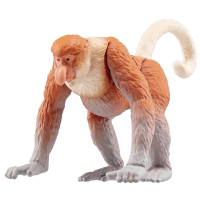 【TAKARA TOMY】ANIA 多美動物 AS-29 長鼻猴(男孩 動物模型)