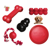 【KONG】中小型寵物互動玩具(寵物玩具 葫蘆 益智 耐咬 狗 飛盤)