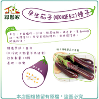 【綠藝家】G35-1.早生茄子(咖啡紅)種子10顆
