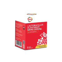 【EXP2027.06】 GKB Lactobacillus Plantarum GKM3 200MG Probiotic