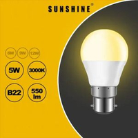 LED燈膽 5W / B22釘頭 / 黃光3000K LED燈泡 | LED球膽 | LED球泡 (LGT-5B22W)