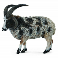 動物模型《 COLLECTA 》四角羊 ( 雄性 )