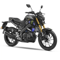 【YAMAHA 山葉】MT-15 MONSTER 鬼爪2023(155CC/檔車/機車/平輸車/普洛吉村重機)