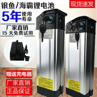 電動車電池48v鋰電池電單車電瓶代駕折疊車銀魚海霸 通用10AH20ah【宜家良品百貨】