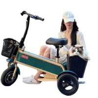 Mini Household Scooter Foldable Adult Universal Fashion Electric Tricycle Электрический трехколесный велосипед