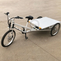 3 Wheel Cargo Tricycle For Adult With Platform Flatbed Tricycle Stronger Cargo Tricycle